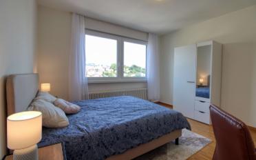 Single room 1 room - image - 2