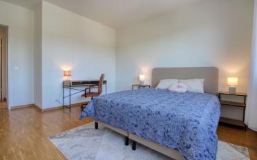 Single room 1 room - image - 4