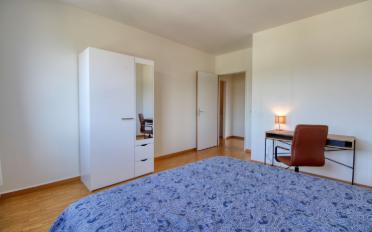 Single room 1 room - image - 5