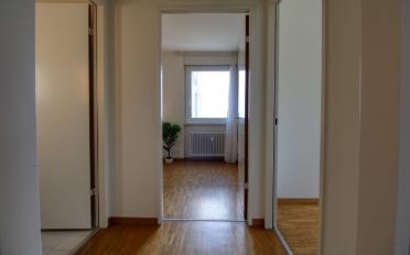 Single room 1 room - image - 22