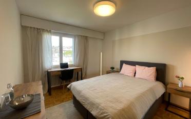 Single room 1 room - image - 1