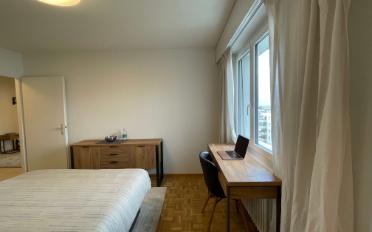 Single room 1 room - image - 9