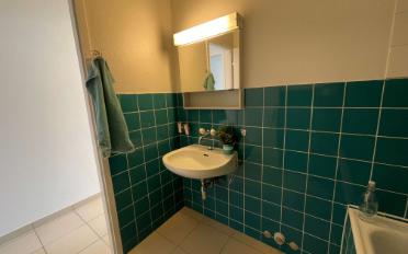 Single room 1 room - image - 16