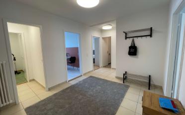 Single room 1 room - image - 24