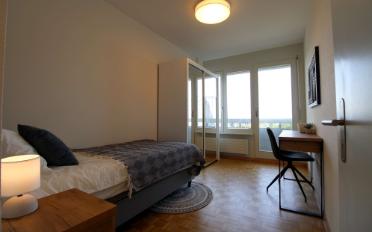 Single room 1 room - image - 1