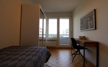 Single room 1 room - image - 7
