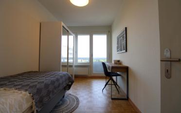 Single room 1 room - image - 11