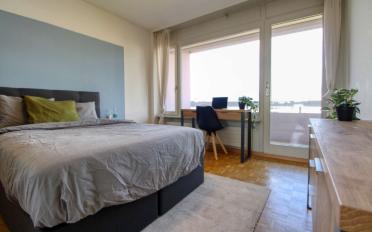 Chambre 1 pièce - image - 2