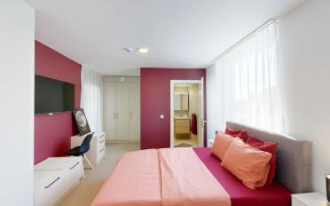 Single room 1 room - image - 3