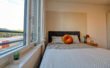 Chambre 1 pièce - image - 8