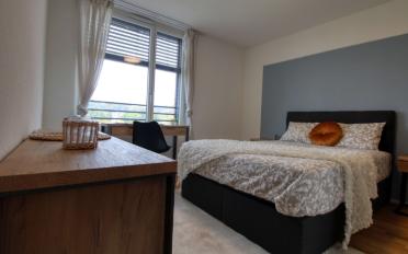 Studio 1.5 rooms - image - 1