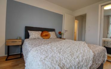 Studio 1.5 rooms - image - 5