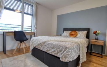 Studio 1.5 rooms - image - 7