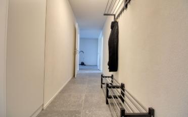 Studio 1.5 rooms - image - 22