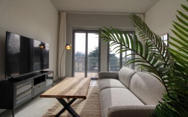 Studio 1.5 rooms - image - 24