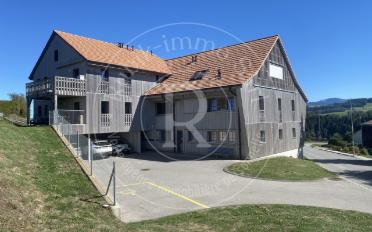 Duplex 5.5 pièces - image - 2