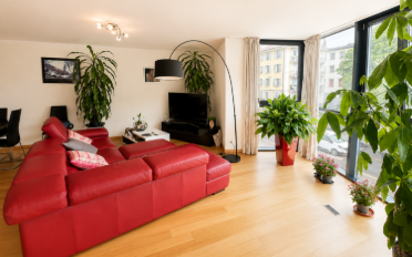 Wohnung 4.5 Zimmer - image - 2
