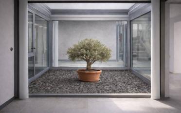 Einfamilienhaus 6.5 Zimmer - image - 2