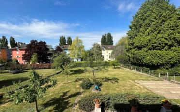 Einfamilienhaus 5.5 Zimmer - image - 3