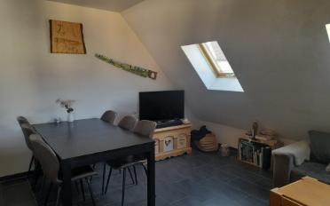 Wohnung 2.5 Zimmer - image - 5