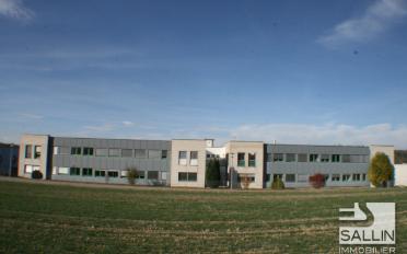 Office - image - 7