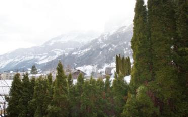 Appartement meublé - image - 12