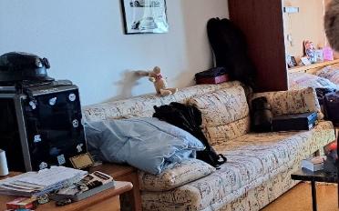 Furnished flat 3.5 rooms - image - 5