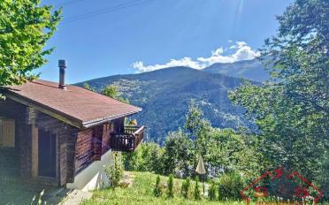 Chalet 4.5 pièces - image - 3