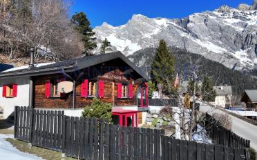 Chalet 6 rooms - image - 1