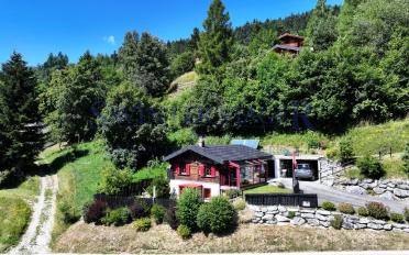 Chalet 6 rooms - image - 3