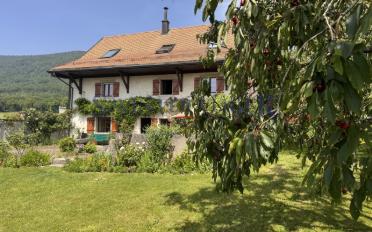 Single house 8 rooms - image - 2