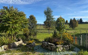 Einfamilienhaus 11 Zimmer - image - 2