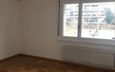 Wohnung 2.5 Zimmer - image - 5