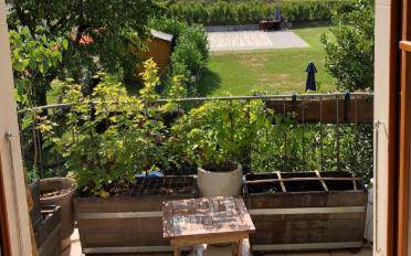 Wohnung - image - 6