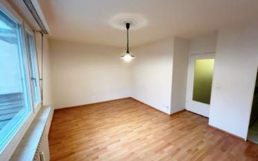 Apartment 1 room - image - 5