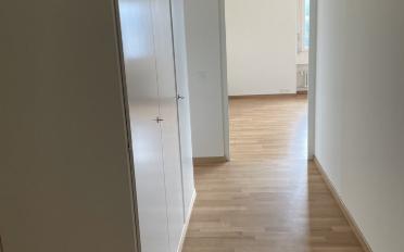 Wohnung 4 Zimmer - image - 7
