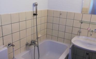 Apartment 1 room - image - 4