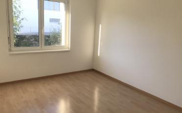 Appartement 4.5 pièces - image - 8