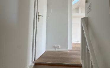 Wohnung 1.5 Zimmer - image - 5