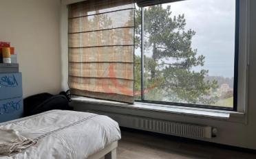 Maison 8 pièces - image - 9