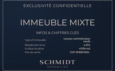 Mixed use property - image - 1