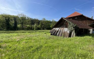 Bauernhaus 3.5 Zimmer - image - 3