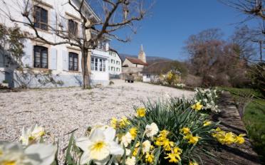 Einfamilienhaus 12 Zimmer - image - 2