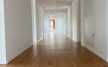Office - image - 3