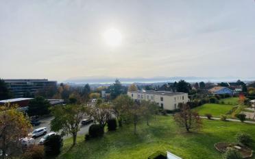 Attikawohnung 4.5 Zimmer - image - 11