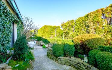 Attikawohnung 4.5 Zimmer - image - 3