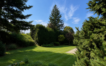 Bifamiliar house - image - 2