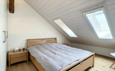 Wohnung 3.5 Zimmer - image - 5