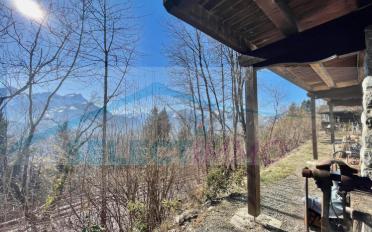 Single house 6 rooms - image - 3