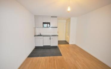 Apartment 1 room - image - 1